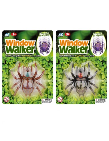 Wall Crawl Spider