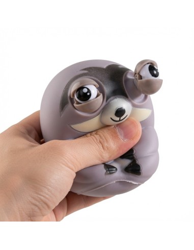 Squint Eye Sloths