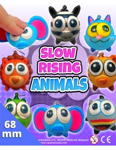 Slow Rising Animals