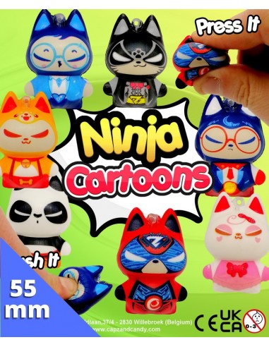 Ninja Cartoons