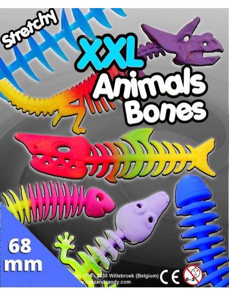 XXL Animals Bones