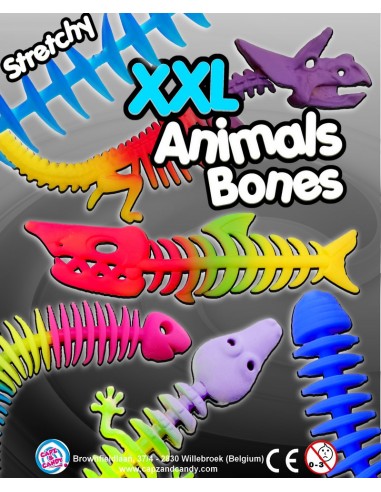 XXL Animals Bones