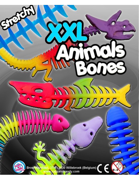 XXL Animals Bones