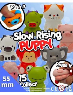 Slow Rising Puppy