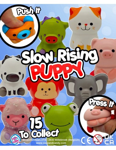 Slow Rising Puppy
