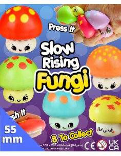 Slow Rising Fungi