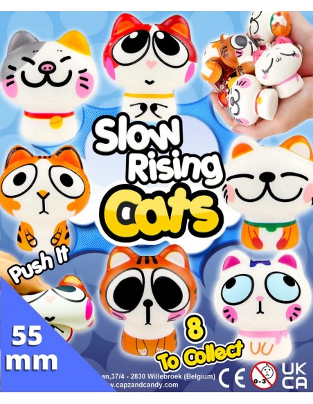 Slow Rising Cats