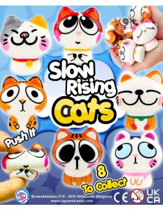 Slow Rising Cats